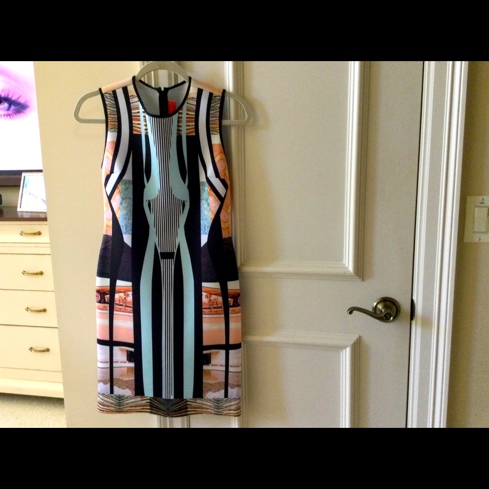 Clover Canyon show stopping dress